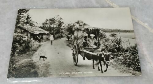 1954 Ceylon Village Buffalo Cart Kereta Kerbau 2v Stamp Photo Postcard to France