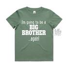 I'm Going To Be A Big Brother... Again! Big Brother Again T-Shirt, Big Brother