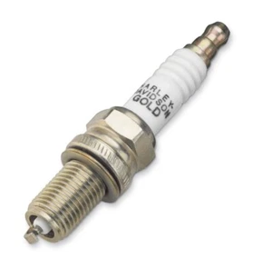 Harley Davidson Gold Zündkerze 10R12X 27794-08 für Sportster XR1200 08-13 - Bild 1 von 1