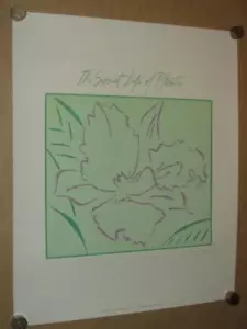STEVIE WONDER - LITHOGRAPH - SECERT LIFE OF PLANTS - PLATE SIGNED BY ARTIST - Picture 1 of 1
