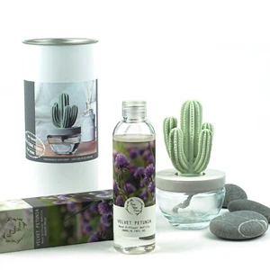 Pretty Valley Home Cactus Ceramic Diffuser Combo (Velvet Petunia) Scent 200ml - Picture 1 of 4