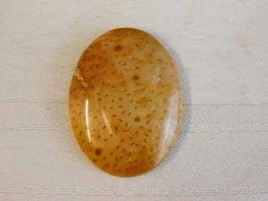 Cabujón de madera de palma fósil - Imagen 1 de 6