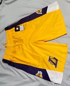 NBA L.A. LAKERS PANTALONCINI UNK NUOVI CON ETICHETTE KOBE MAGIC LEBRON SCEGLI LA TUA TAGLIA S M L XL - Foto 1 di 4