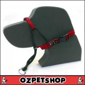 BlackDog - Black Dog Wear Dog Training Halter - Head Halter - 7 Colours 5 sizes - Picture 1 of 19