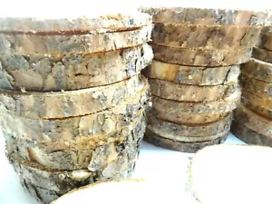 10 Pc "6 - 8" PINE Log Slices Wood Disk Rustic Wedding Centerpiece Coaster Decor - Picture 1 of 10