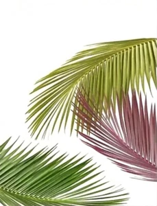 Abstract Contemporary Tropical Botanical Palm Fronds Leaves Canvas Art Print New - Picture 1 of 3