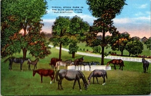 Postal de lino típica de granja hierba azul estado Kentucky - Imagen 1 de 2