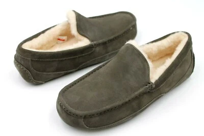 ZAPATO ZAPATILLA UGG ASCOT PARA HOMBRE COLOR GRIS CARBÓN GAMUZA LANA TALLA 12 EE. UU. Foto 1 de 4