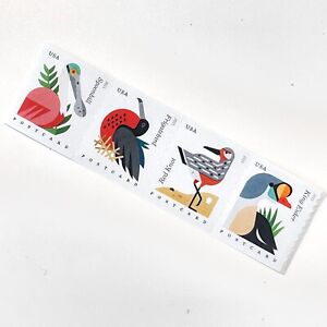 US # 4995-98 COASTAL BIRDS (2015) - Postcard Stamps Coil Strip of 4 in Sequence