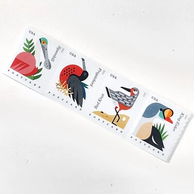 US # 4995-98 COASTAL BIRDS (2015) - Postcard Stamps Coil Strip of 4 in Sequence - Image 1 of 4