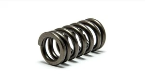 Psychic Mx XU-09550IS Intake Exhaust Spring - Picture 1 of 3