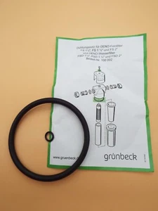 Grünbeck 100002 Dichtungssatz für FS 1 und FSD 1 DN 32 (5/4 Zoll) - DN 50 - Bild 1 von 1