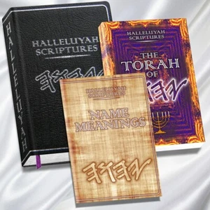 Bible The Best Genuine Leather Large Print & Extra Free Books - Picture 1 of 10