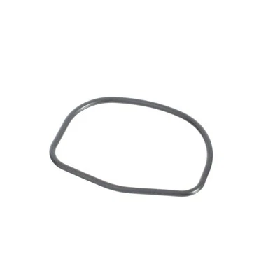 Genuine Mopar 2014-2019 Fiat 500L Front Engine Thermostat Gasket 68095375AA - Изображение 1 из 3