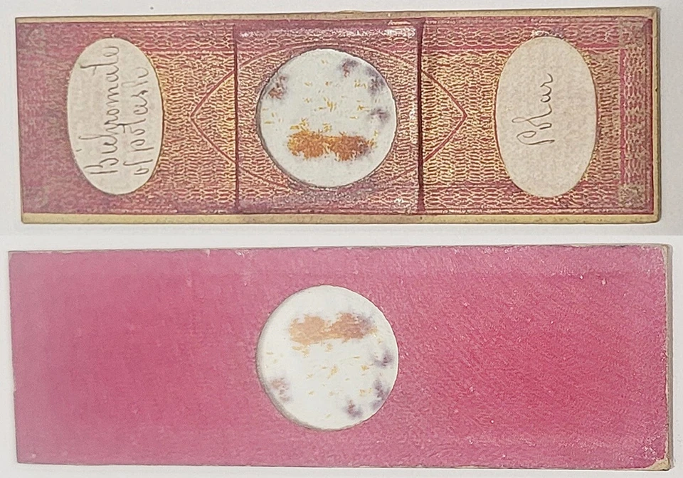 Старинный слайд микроскопа от J. Amadio - Лондон "Биохромат калия". образец - Изображение 1 из 4