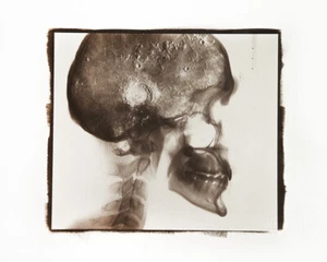 VAN DYKE BROWN PRINT (ORIGINAL, SIGNED) 28x38cm - IMAGE SIZE 20x30cm - Foto 1 di 1