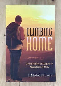 Climbing Home From Valleys of Despair by E. Madoc Thomas 2015 Paperback - Picture 1 of 4