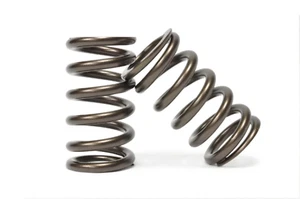 Kelford Valve Springs for 4B11 Evo X (KVS11) - Bild 1 von 3