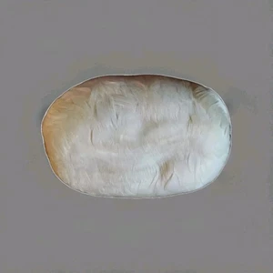 ANTIKER WEISSER SCHWANENFEDERMUFF IN SCHÖNEM ZUSTAND, SELTENER ANTIKER MUFF VON 1900 - Bild 1 von 7