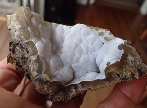 Botryoidal Fossil Coral Geode Fragment GA Agate Fluorescent Specimen Sea WC23 - Picture 1 of 6