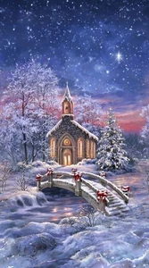 Timeless Treasures All Is Calm Christmas Chapel Quilt Fabric Panel 23.5" x 43" - Picture 1 of 1