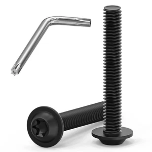 20 Viti M6 X 40 a Testa Bombata Torx, Flangia, Acciaio Inox A2 V2A, Filettatura - Foto 1 di 12