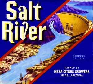 Mesa Arizona Salt River Dam Orange Citrus Fruit Crate Label Art Print - Picture 1 of 1