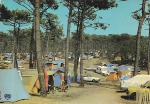 SION SUR MER SAINT HILAIRE DE RIEZ 46 le camping timbrée 1975 - Imagen 1 de 1