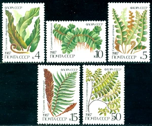 Russia 1987 Fern plants, Rustyback, Adiantum, hart's tongue, Mi. 5729, MNH - Picture 1 of 1