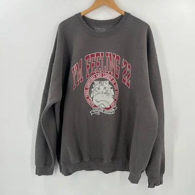 Sudadera Pullover Taylor Swift 4XL Gris I'm Feeling 22 Cat Foto 1 de 4