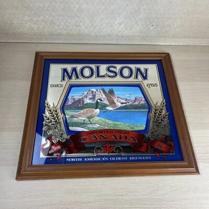 VINTAGE 21"" X 19"" MOLSON BRAUEREI KANADA BIER ALE GÄNSE BAR SPIEGEL WANDSCHILD - Bild 1 von 8