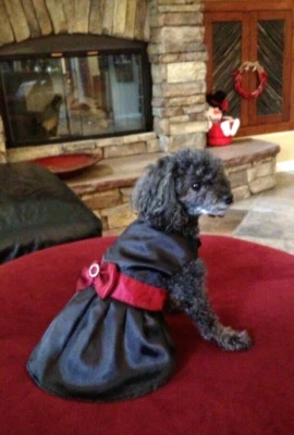 Vestido formal negro satinado con lazo granate - talla pequeña, excelente estado Foto 1 de 4