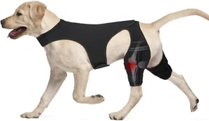 Large Dog Knee Brace – Hind Leg ACL Support for Patella, Hip Dysplasia, Injuries - Picture 1 of 16