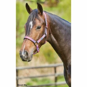 Weatherbeeta OMBRE Prime Headcollar Halter Matchy Matchy WAS £32.50 - Picture 1 of 6