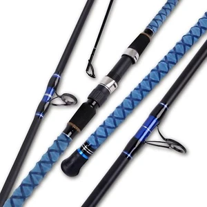 Surf Spinning Fishing Rod Carbon Fiber Travel 2/3/4 Piece Pole 9/10/11/12/15 Ft - Picture 1 of 18