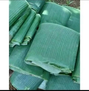 fresh banana leaves - Picture 1 of 5