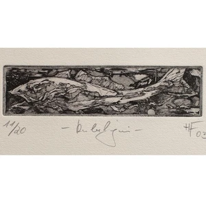 Fisch Kabeljau Zeitgenössische Kunst signiert Radierung 2003 11/20 - Bild 1 von 4