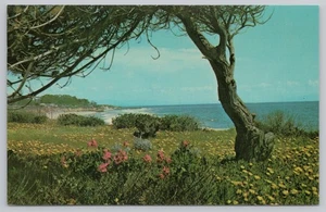Postkarte East Cliff Drive Monterey Bay Capitola Kalifornien - Bild 1 von 2
