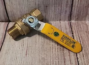 "EVERFLOW" 1/2" Valve Brass Full Port Ball Valve, with FIP x MIP Joints "NEW" - Picture 1 of 5