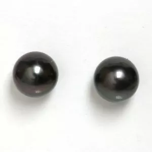Tahitian Pearl Stud Earrings 9 MM14kt Flawless Midnight Black - Picture 1 of 3