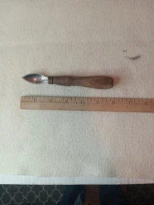 Antique fruit Grapefruit Spoon Wood Handle Pitting Stone Fruit - Picture 1 of 8
