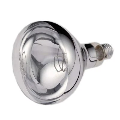 Heat Lamp Bulb for Food Service 250W Heat Lamp Light Bulbs Infrared Heat Bulb... - Image 1 of 4