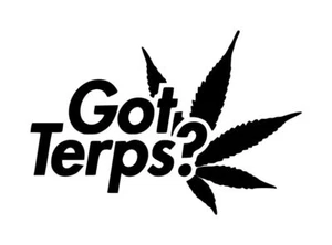 Got Terps Decal #1 3"x4.5" Choose Color - Picture 1 of 2