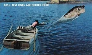 Postcard Lake Fishing Wisconsin - Picture 1 of 2