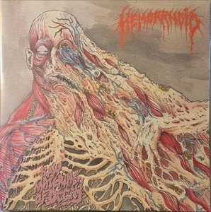 Hemorrhoid - Raw Materials Of Decay(LP/2024)PUTRIDARIUM CRUCIFIX CIANIDE FACADA - Picture 1 of 1