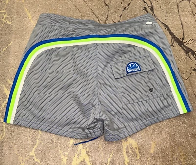 Rare Meshy Sundek 31 Rainbow Beach Swim Shorts Trunks Bathing Suit Size 31 S - Image 1 of 4