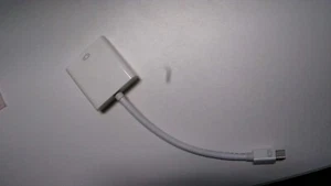 Mini DisplayPort (Male) to DVI (Female) Adapter (Pack of 2) - Picture 1 of 3