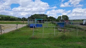 Einstellplatz Pferd Pony Wiese Offenstall - Bild 1 von 1