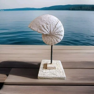 Decorative Concrete Conch Seashell On A Base Statue Sculpture - Picture 1 of 5