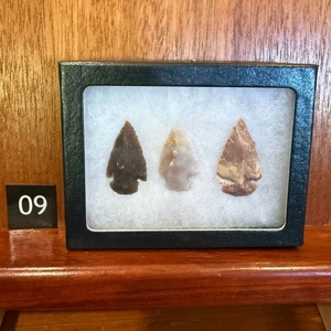 Pfeilspitze Sammlung in Vitrine - Bild 1 von 3